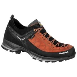 Chaussures D'approche Salewa MTN Trainer 2 GTX Autumnal Black