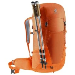 Sac à Dos Deuter Futura 32 Chestnut Mandarine -Randonnée Et Camping 587ecbb99c6ded507274a8b4a2e9cde4bf8026d6 E22DEUTACC208310 DEUT0712307 903