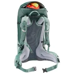 Sac à Dos Deuter Futura 24 SL Forest Jade -Randonnée Et Camping 66286fc8f28681363c2ac760368afd5ce406a72c E23DEUTACC371135 DEUT0712302 902