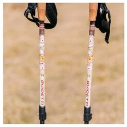 Bâton Guidetti Région St Jacques De Compostelle Beige -Randonnée Et Camping 8f381844f1e5810147ccc9b45a45fd005fa2cce2 E23GUIDBAT378890 GUID0714432 908